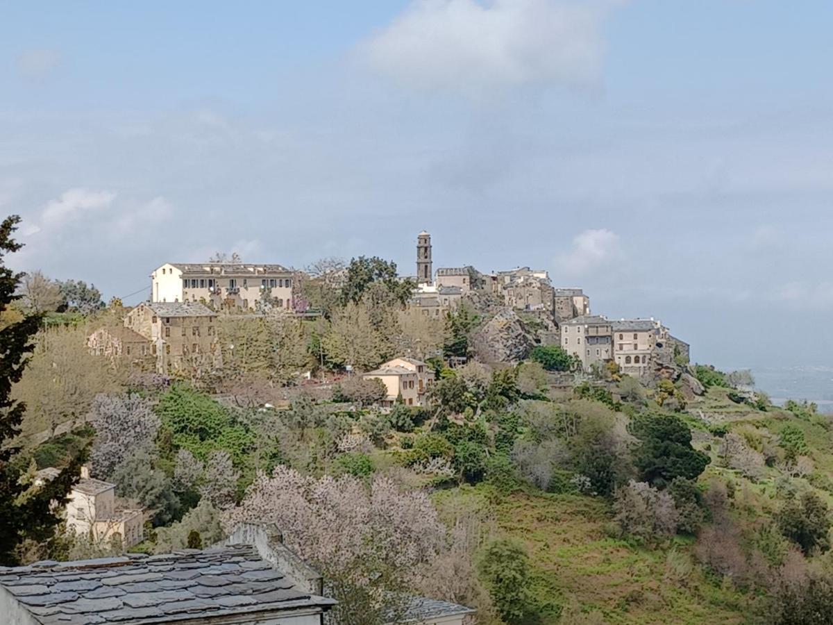 Casa Pernice Penta di Casinca Экстерьер фото