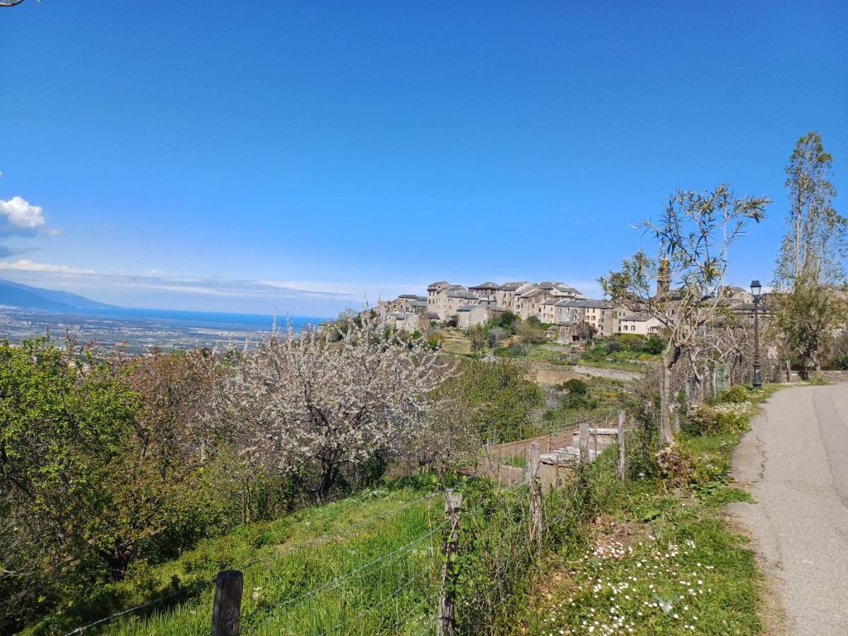 Casa Pernice Penta di Casinca Экстерьер фото